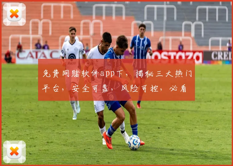 免费网赌软件app下，揭秘三大热门平台，安全可靠，风险可控，必看攻略