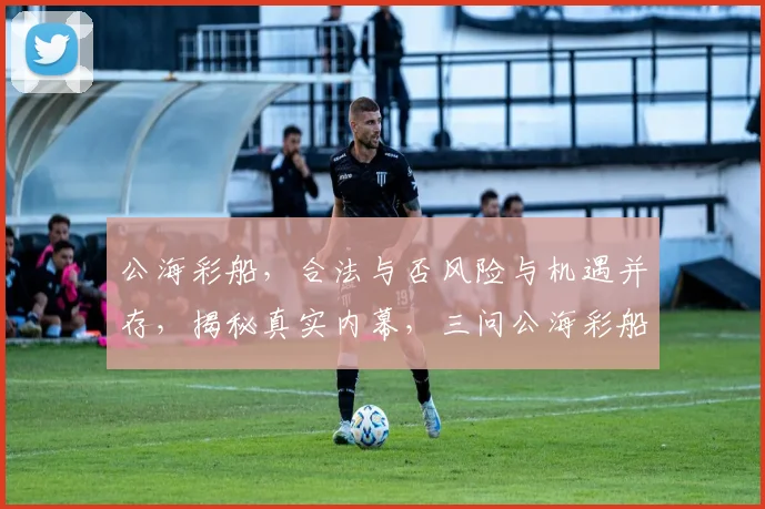 公海彩船，合法与否风险与机遇并存，揭秘真实内幕，三问公海彩船合法性