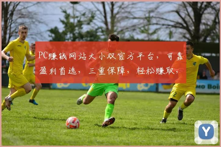 PC赚钱网站大小双官方平台，可靠盈利首选，三重保障，轻松赚取，热门推荐